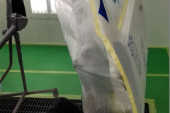 paint-prep
